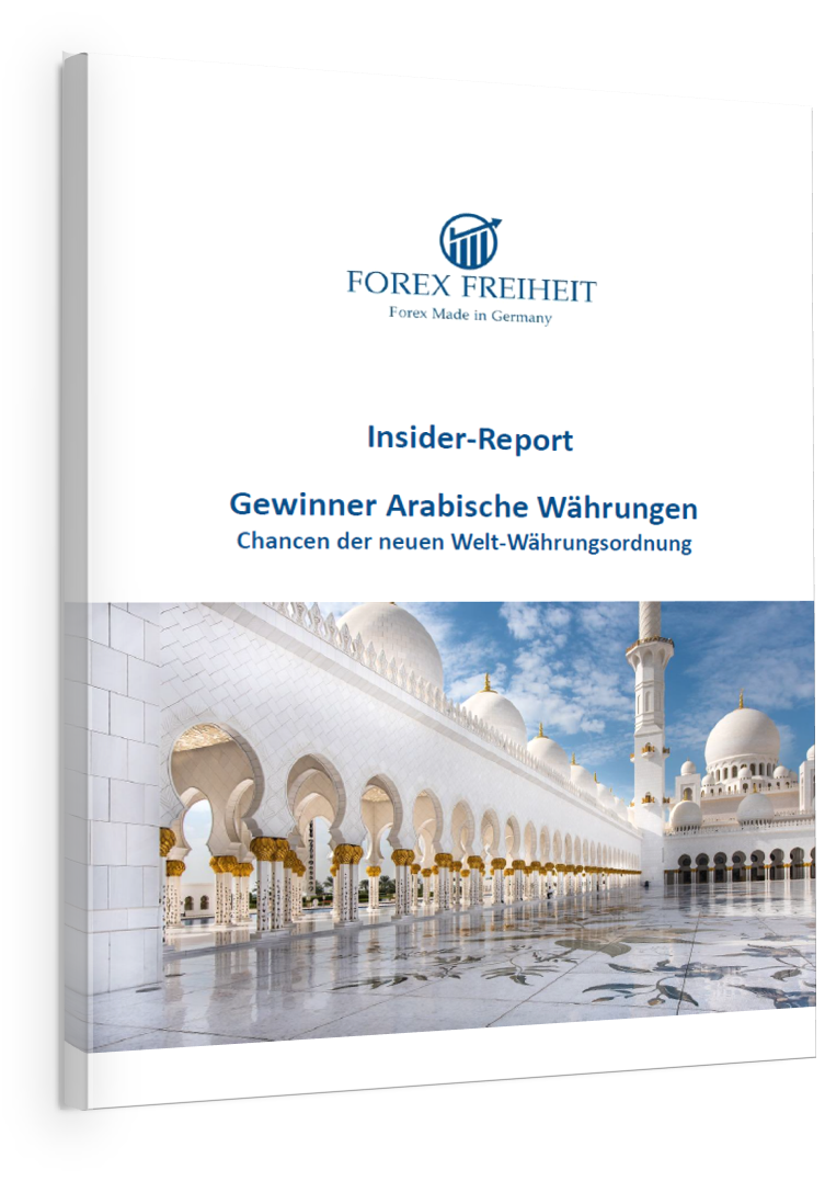 Report Arabische Währungen einzeln
